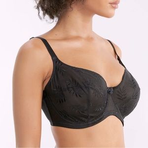 PANACHE Tango black underwire Balconette Bra size 36 FF NWT